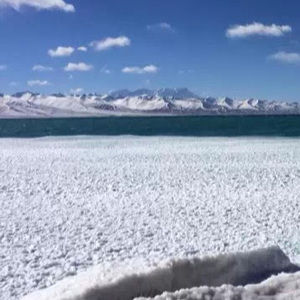 Meet your Posher, Cathy